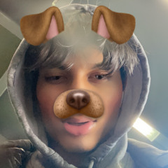 Purp_555