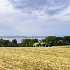 H a n n a h  J a c k s o n