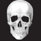 Lil Skully
