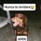 EL NÚÑEZ