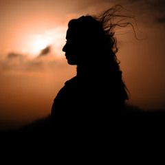 Narges Farsadi