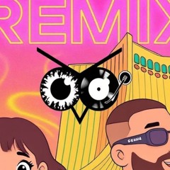 DJ OWL