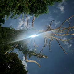 Novemberbeing (Manny)