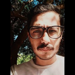 mohamed hatem