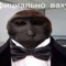 sloyssi