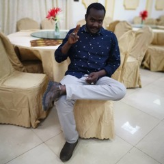 محمد احمد ودالنور