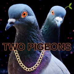 Two Pigeons