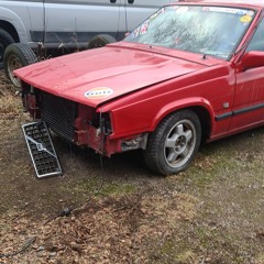 Blyga läpparnas Garage