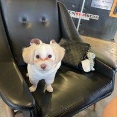 백상철