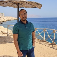 Nour Wael