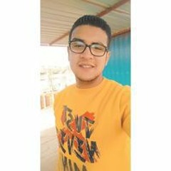 Mohamed Gamal