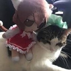 notspookymoo