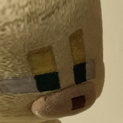 Ocelot