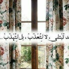 عجيب ابوالدنيا