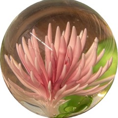 sabaotoha
