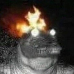 Rexenexus