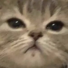 ɎɄ ₥Ø₥₴ ₣₳VØⱤł₮Ɇ