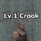 Lvl. 1 Crook