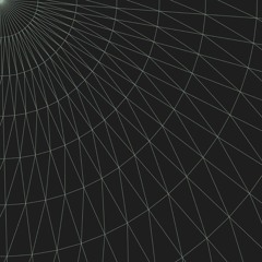 Magnetoid