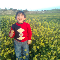 tareqziad