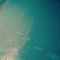 terminalbeaches