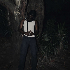 Vlack The Houdini