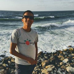 Mohamed Alsmli