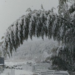 雪