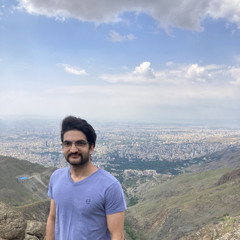 Mohammad Saeedirad