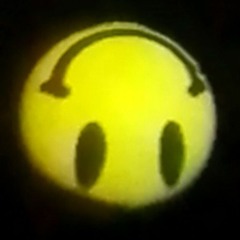 Willy.br