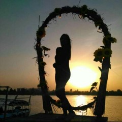 Alaa Sharaf
