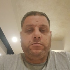 الأسد المصرى