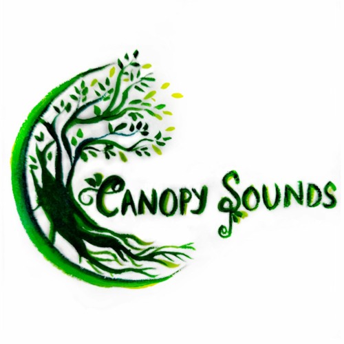 Canopy Sounds’s avatar