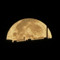 moon 44