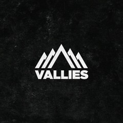 Vallies