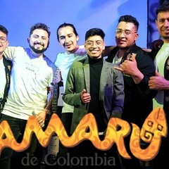 AMARU DE COLOMBIA