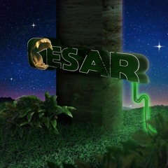 Cesar Beats