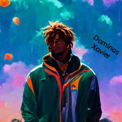 Dominos Xavier