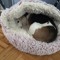 Caty