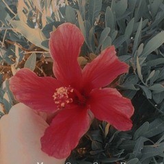 𝐵𝒾𝓃𝓉 𝒜𝓁 𝒬𝓊𝒹𝓈🤭💜