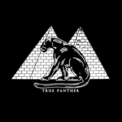 True Panther Sounds