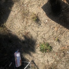 SK! mask slump god type beat