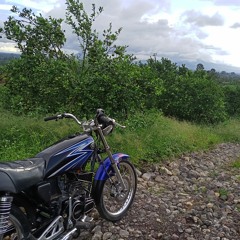 BEJENG.