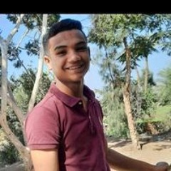 Shehab El Din Saad
