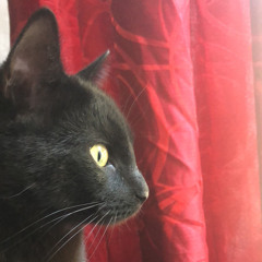 David Wright aka Electro D