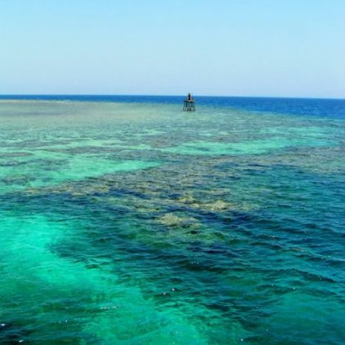 Ceylan background origin 😡FREE DOWNLOAD