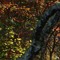 tokyosburial