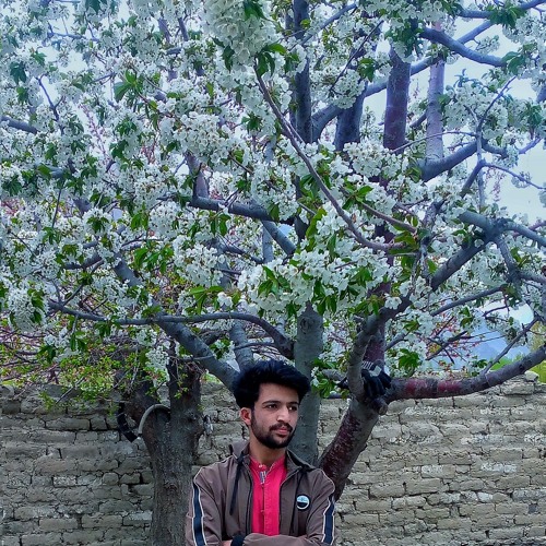Shahid Akhtar Shakir’s avatar