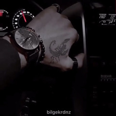 Bilgekaradniz