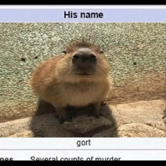 Diqscaa
